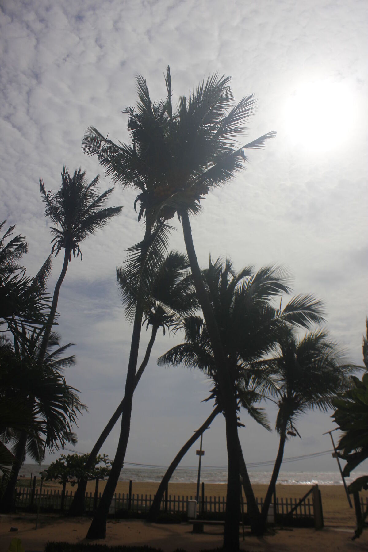 Star Hotel Negombo